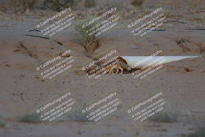 media/May-26-2024-TrackXperience (Sun) [[9b53715927]]/5-Turn 16 Foxes/